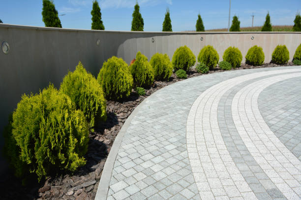 Best Residential Paver Driveway  in Caseyvle, IL